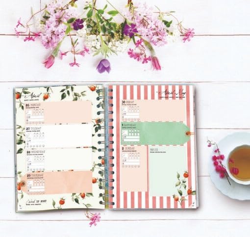 Daphne’s Diary Journal 2027 : Creative Pages - Handy Lists and Space for Your own Ideas