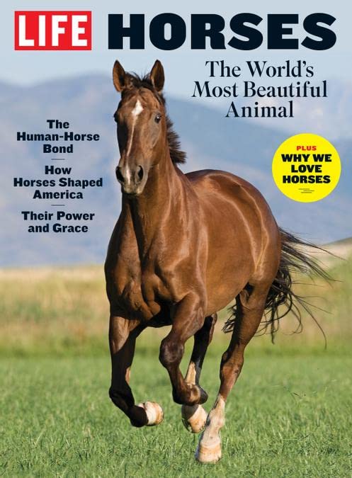 Life Horses Magazine Issue 26: The World's Most Beautiful Animal